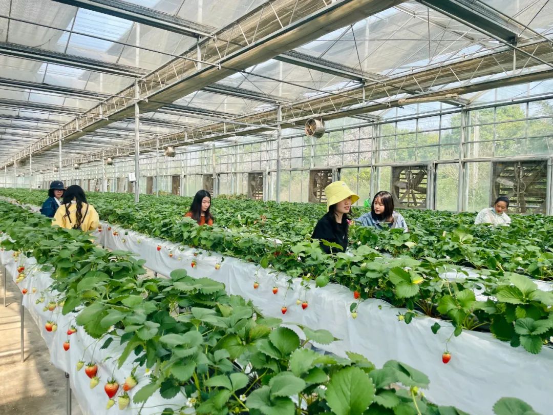 【婦女節(jié)】走進(jìn)自然，遇見“莓”好